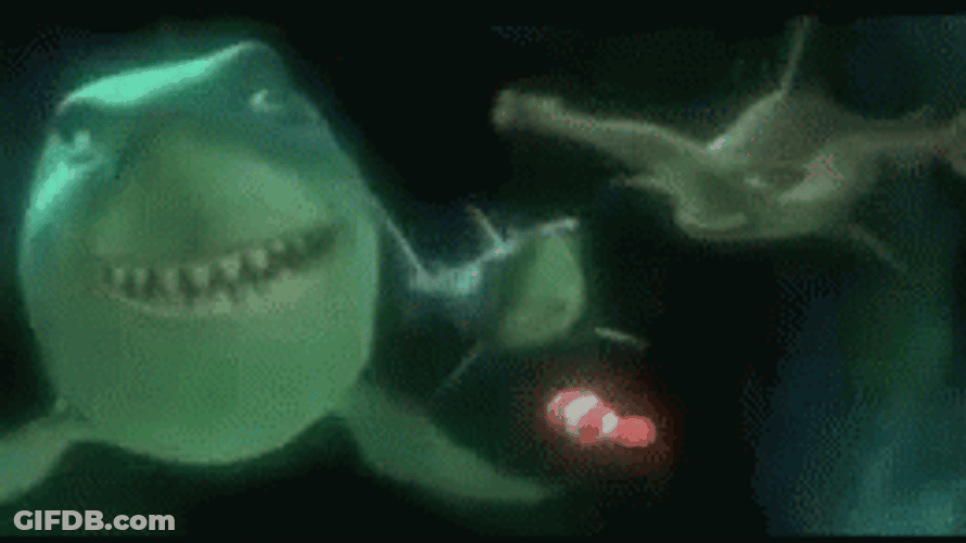Denial Scary Shark Finding Nemo GIF