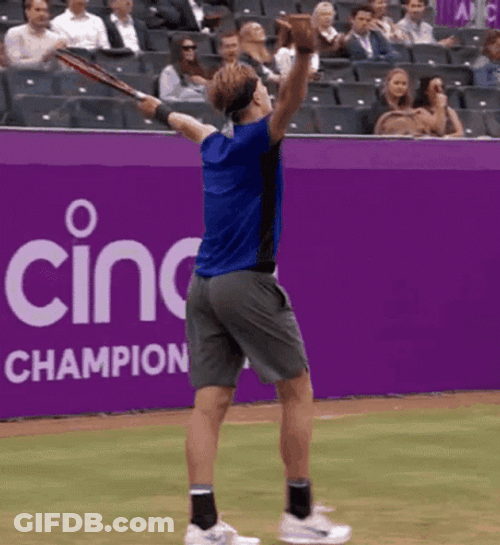 Denis Shapovalov Champion GIF
