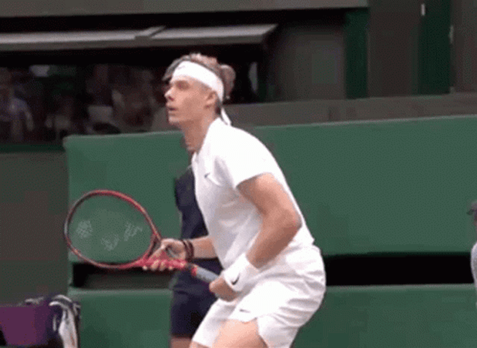 Denis Shapovalov Falling Dreamily GIF