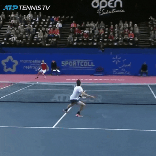 Denis Shapovalov Gaining A Point GIF