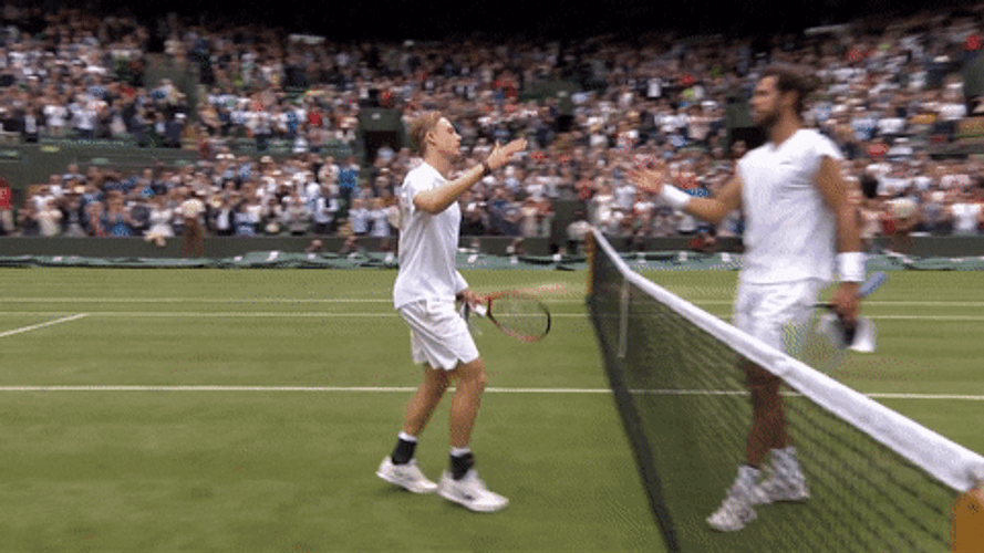 Denis Shapovalov Shake Hands GIF