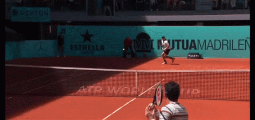 Denis Shapovalov Wins A Point GIF