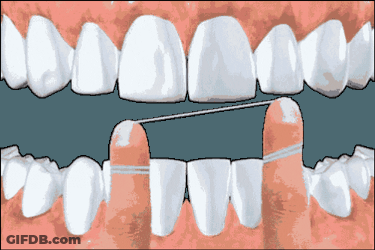 Dental Floss Animation GIF