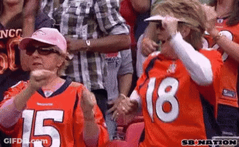 Denver Broncos Fans Cheering GIF