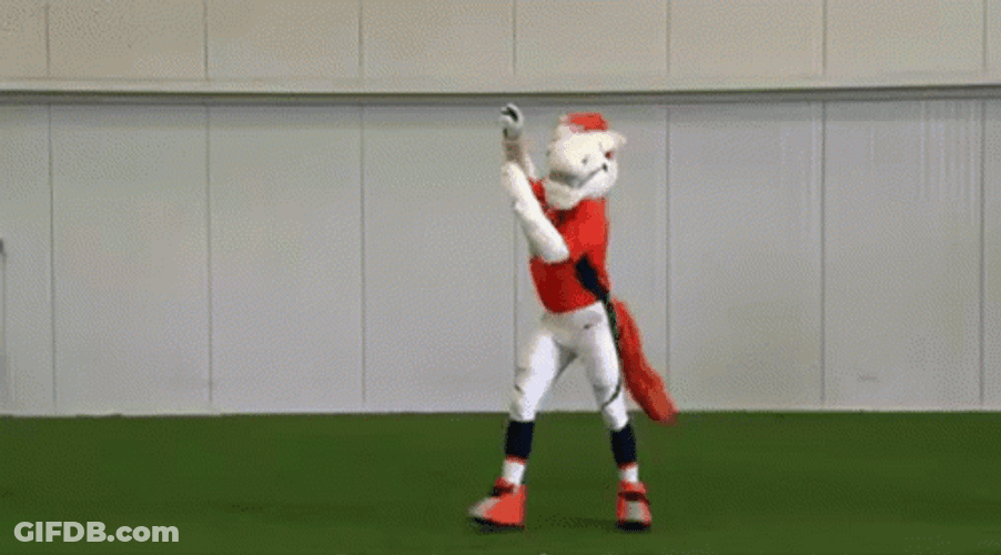 Denver Broncos Horse Mascot Dance GIF