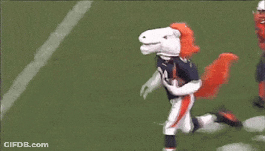 Denver Broncos Mascot Run Jump GIF