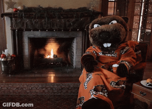 Denver Broncos Vs Washington Redskins Football Game GIF