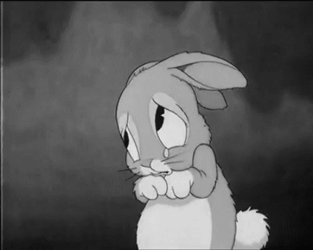Depressed Bunny Little Hiawatha GIF