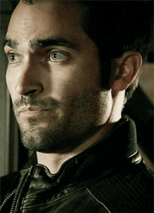 Derek Hale Hmm Interesting Seems Legit GIF