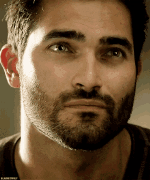 Derek Hale Hmm No Not Quiet Eh GIF