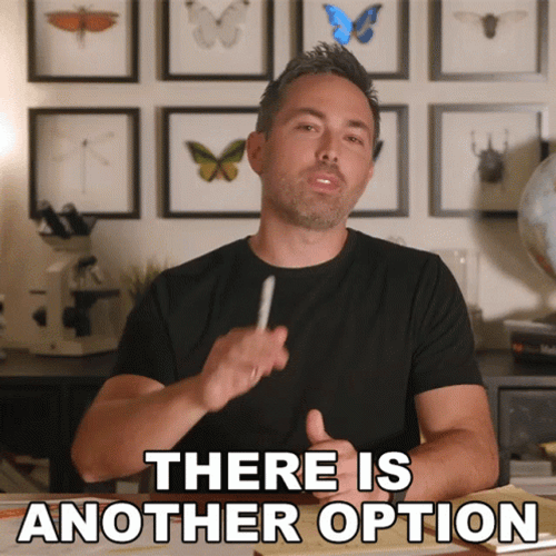 Derek Muller Anotha One Option GIF