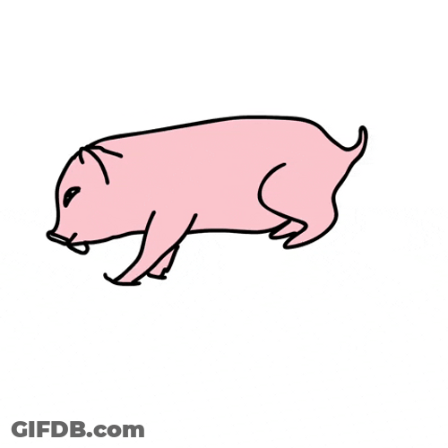 Derp Funny Pigs Jump Fall GIF