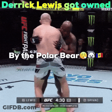 Derrick Lewis Got Owned By The Polar Bear During A Ufc Fight GIF