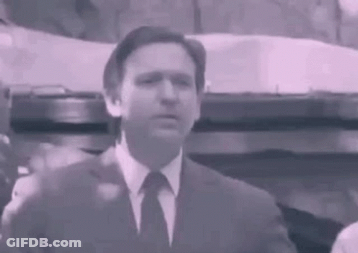 Desantis Unconvinced Smile GIF