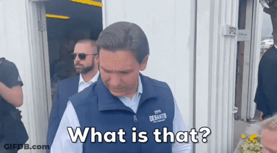 Desantis What Is That GIF