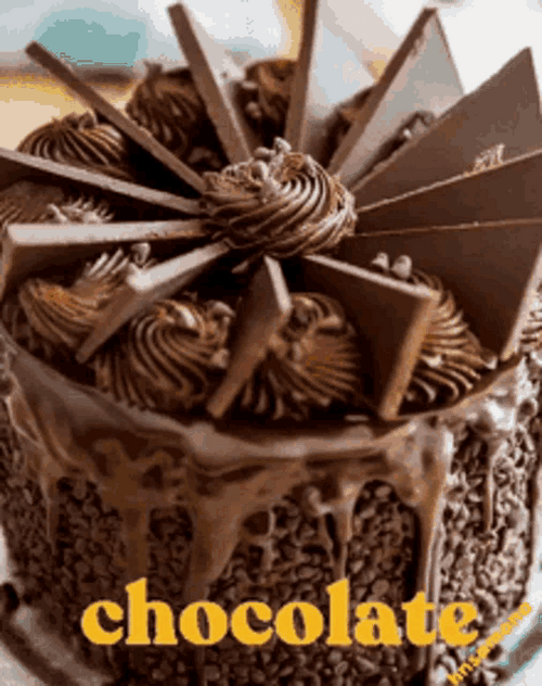 Desert Chocolate Cake GIF