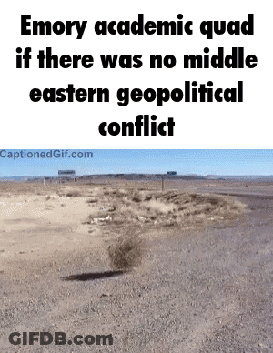 Desert Emory Academic Quad No Middle Eastern Conflict GIF
