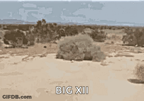 Desert Landscape With Big XII GIF
