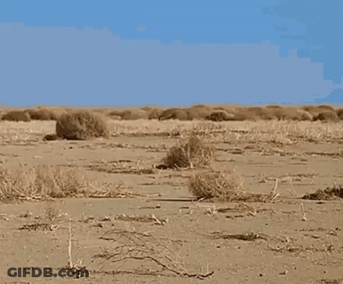 Desert Landscape With Blue Sky GIF