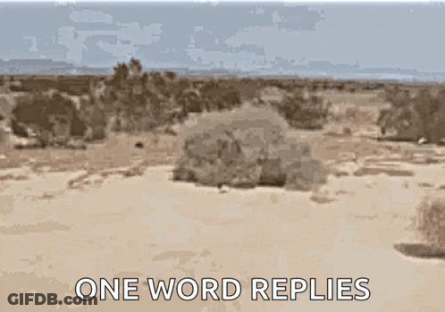 Desert Landscape With One Word Replies GIF