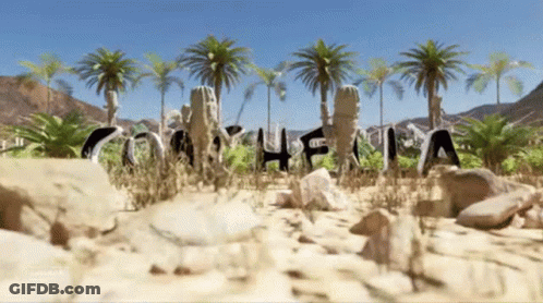 Desert Landscape With Palm Trees And Coahuila In Sand GIF