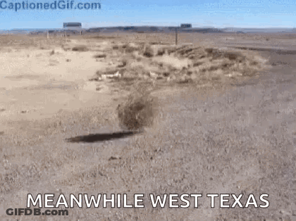 Desert Saying Meanwhile West Texas GIF