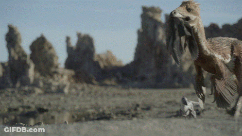 Desert Scene With Bird GIF