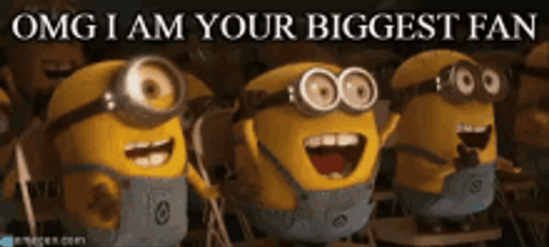 Despicable Me Minions Number 1 Biggest Fan GIF