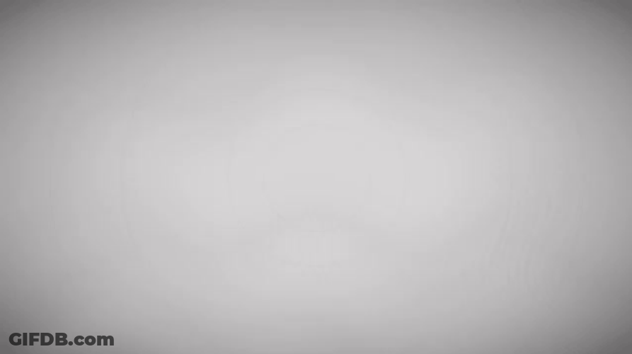 Destiny 2 Brand Logo Mobile Graphics Design GIF