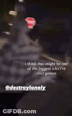 Destroy Lonely Destroy Lonely Run GIF