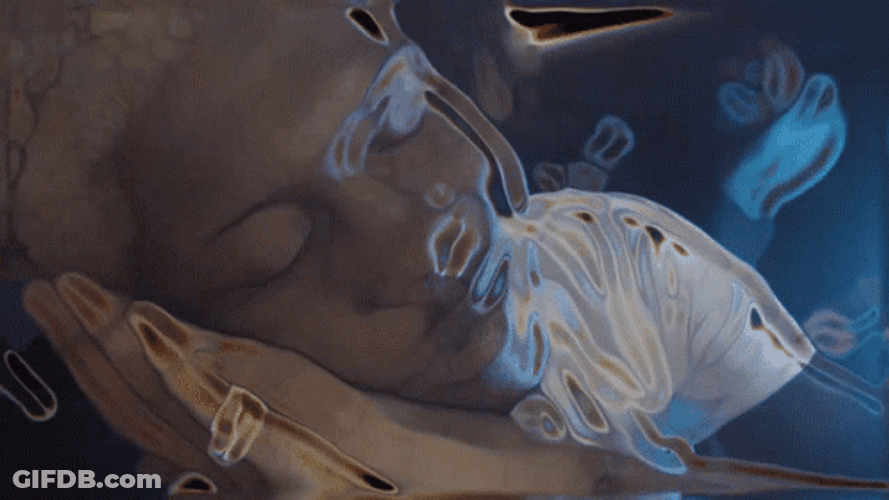 Destroy Lonely Sleeping Gesture GIF