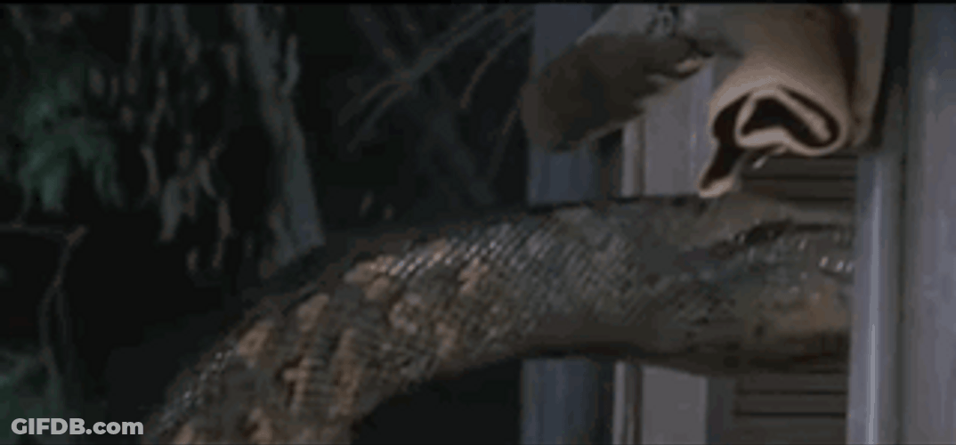Destroyer Anaconda Snake GIF