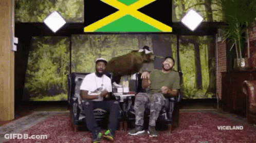 Desus And Mero Jamaica GIF