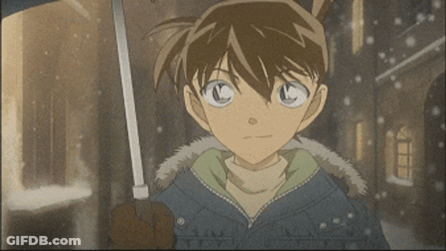 Detective Conan On The Snows GIF