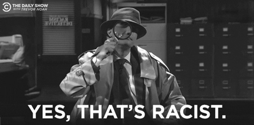 Detective Yes Thats Racist GIF