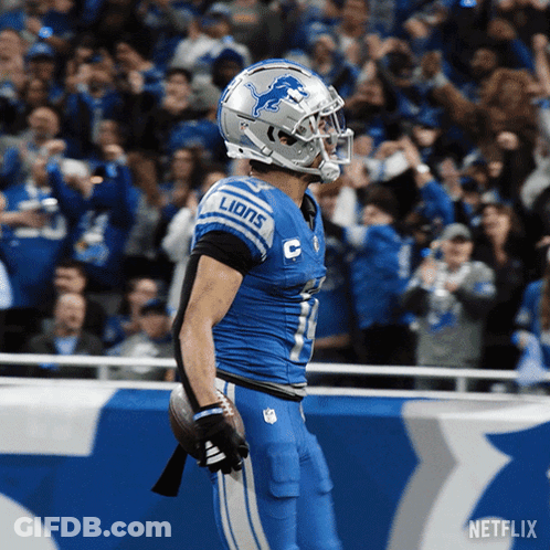 Detroit Lions Football Player Holding Ball GIF