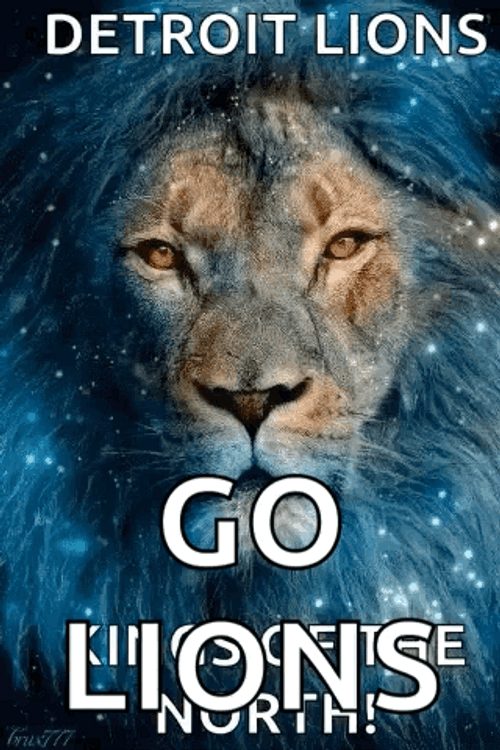 Detroit Lions Go Lions GIF