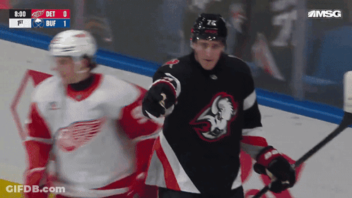 Detroit Red Wings Vs Saskatoon Sabres Hockey Game GIF