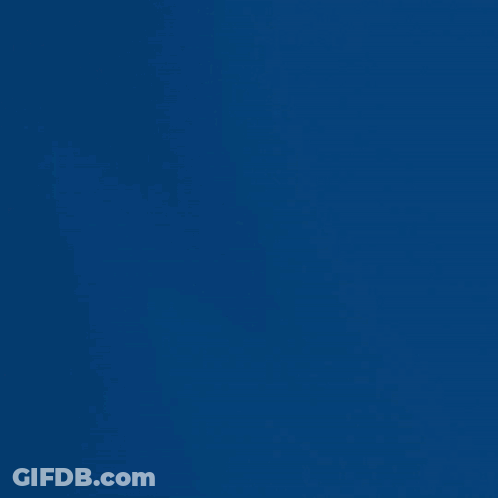 Devil Rays Win Yellow On Blue GIF