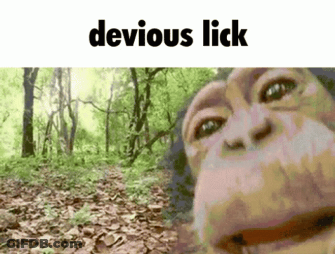 Devious Lick Funny Monkey GIF