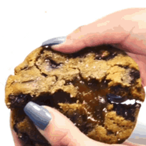 Dewy Chocolate Cookies GIF