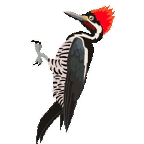 Dhayamani Sticker GIF