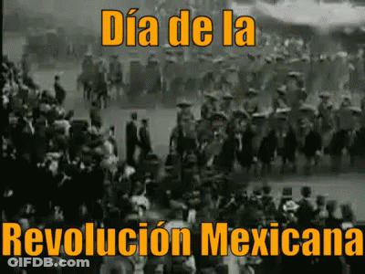 Dia De La Revolucion Mexicana Black And White Horses GIF
