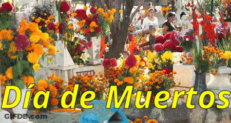 Dia De Muertos Flowers In Yellow GIF
