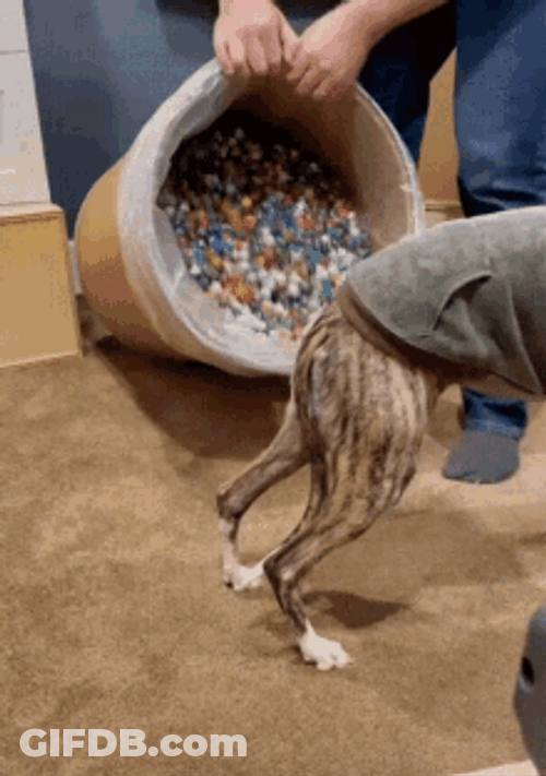 Dice Barrel Pour Dungeons And Dragons GIF