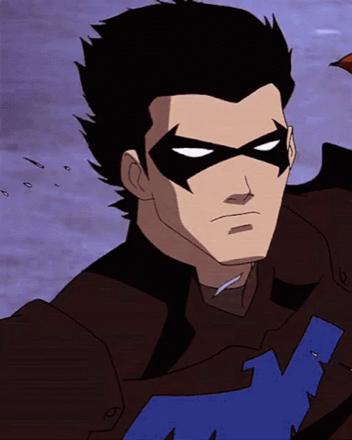 Dick Grayson Nightwing Young Justice GIF