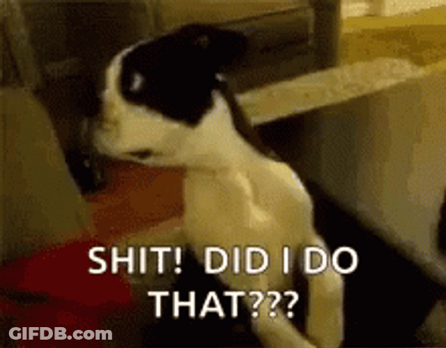 Did I Do That GIF