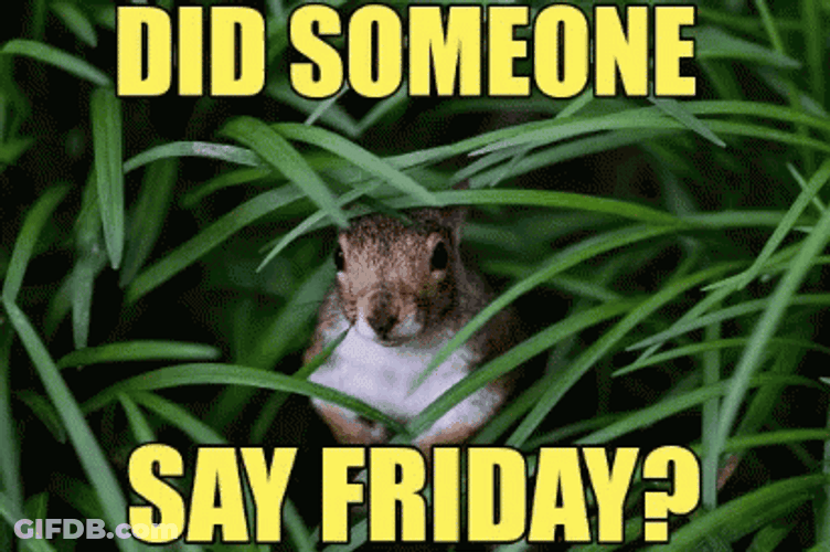 Did Someone Say Friday Meme GIF