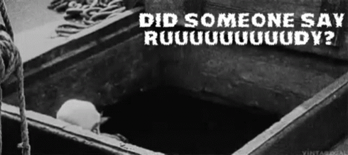Did Someone Say Rudy GIF
