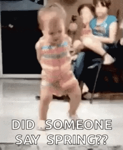 Did Someone Say Spring GIF